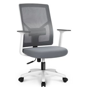 Neo Chair